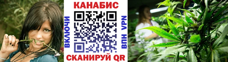 Каннабис план Вытегра